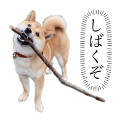 hana_20200416103504