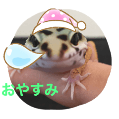 kokoko_20200416102330