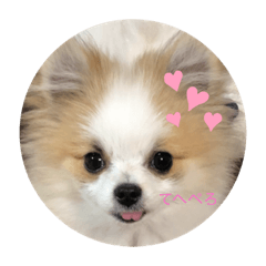 Yukari_20200416124959