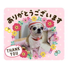 ayumi_20200412154214