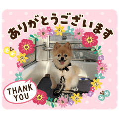 mimi_20200416155539