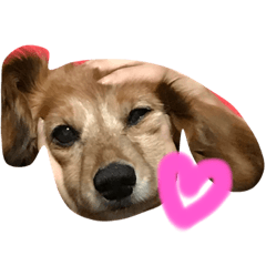 nanana_20200416162416