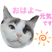 nozom_20200416150332