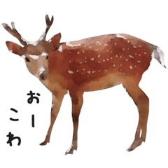 Watercolor deer sticker