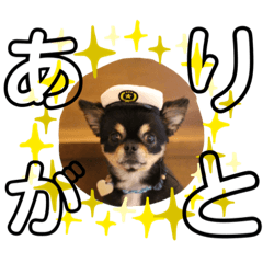 mocachan_dog_stamp_01