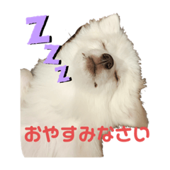 hana_20200416141058