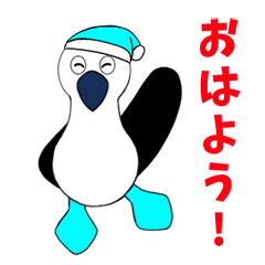 動物スタンプ アオアシカツオドリ Line スタンプ Line Store