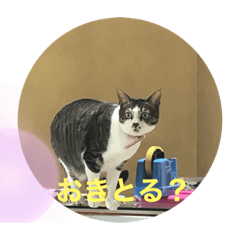 hana_20200416160942