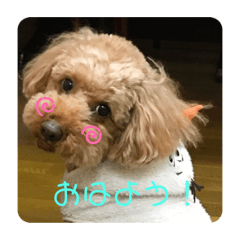 miyuu_20200416141958