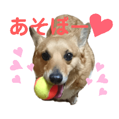 ayumi_20200416172034