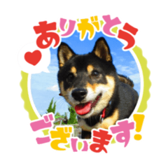 1215riku_ponpon_kuropon-2020-04-16-first