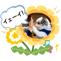 Asuka_20200416173120