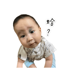 小晁表情包