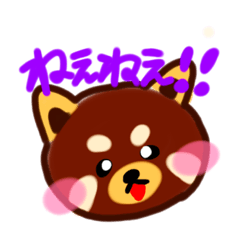 panda_20200416213454