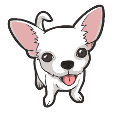 Hi! Chihuahua