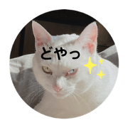 mochiko_20200412231121