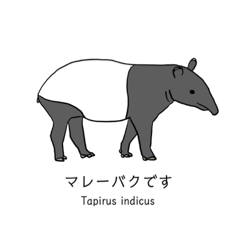 Malaysian tapir