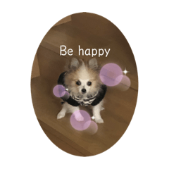 Yukari_20200416225106