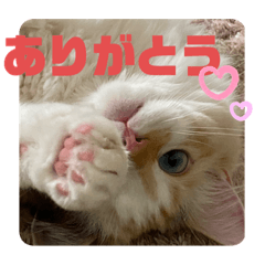 hana_20200417002951