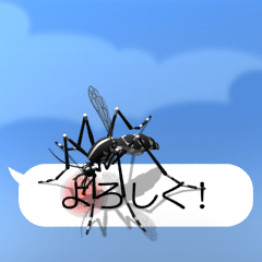 Mosquito on the smartphone