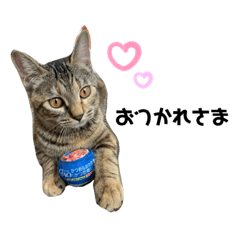 ayumi_20200417070953