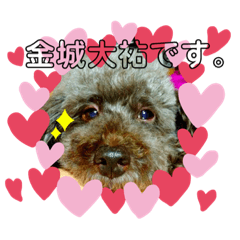 rina_20200416013212