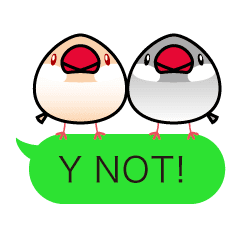 ふきだし文鳥 英語ver Line スタンプ Line Store