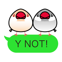 Message Java sparrows for English.