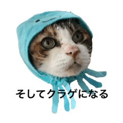 nozomi_20200417093343