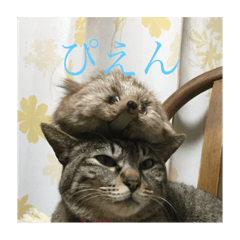 yuto_20200417134419