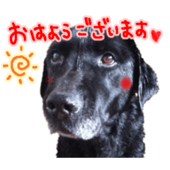 Smile_20200417140643