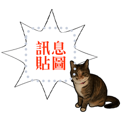 The Alice and Fanny Cat(Chinese)