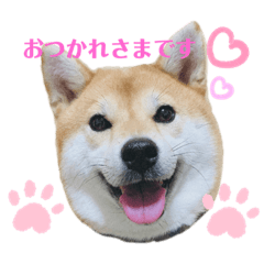 mimi futami
