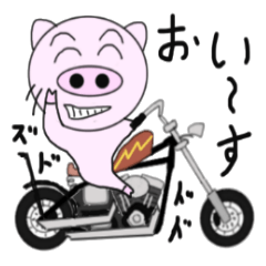 The pig began to ride a motorcycle 2nd