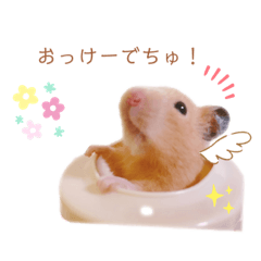 Arisa_20200417191313