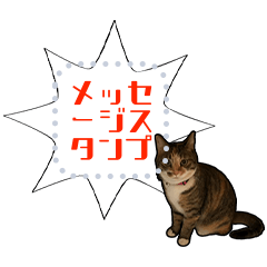 The Alice and Fanny Cat(Japanese)