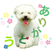 nana_20200412234217
