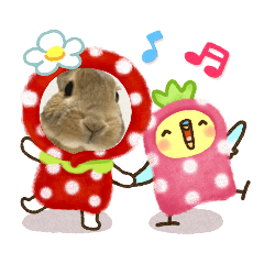 うちの子シリーズ『うさぎのみまくん』②