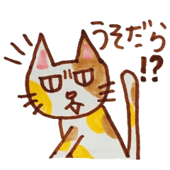 cute cat speaks Japanese local dialect 2