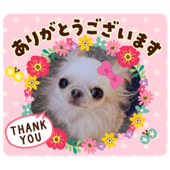 saya_20200417210031