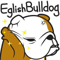 English Bulldog 영어 불독 로렌