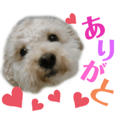 rei.c