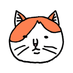 kaikun is a cat