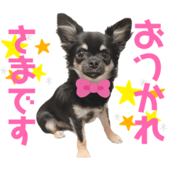 eRINa*_20200418004811