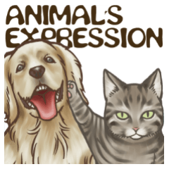 Animal's expression English ver