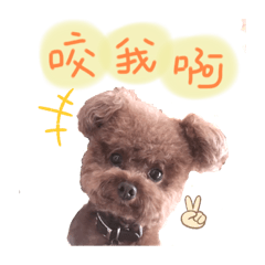 ♡_樂樂_♡