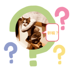 Maggie_20200421113536