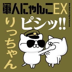 "RICCHAN"name/Movie Military cat
