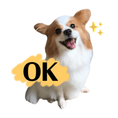 [Papillon]Moko and Ryu stamps