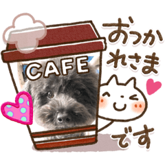 saori_20200413185555